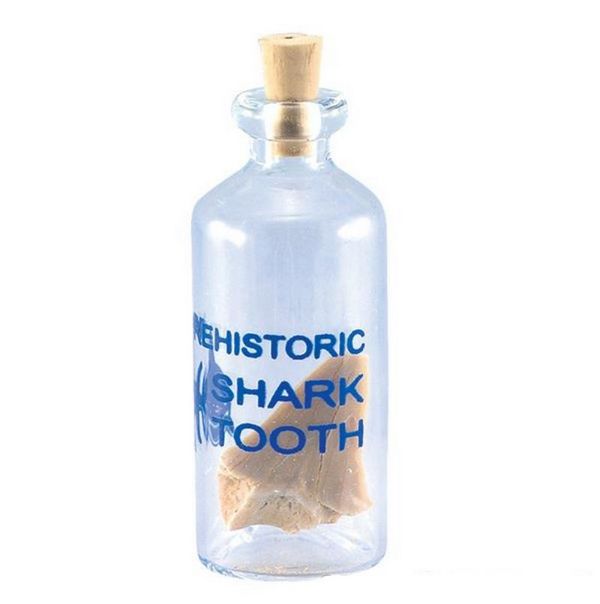 NGH103S Prehistoric Tooth in Mini GLASS Bottle